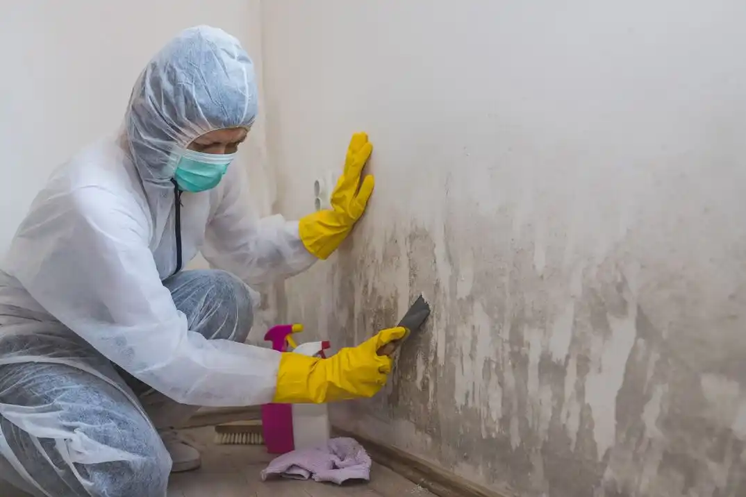 water damage restoration service Creek Hollow